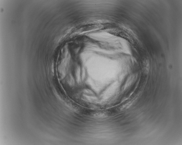 X0000069830358200606021342