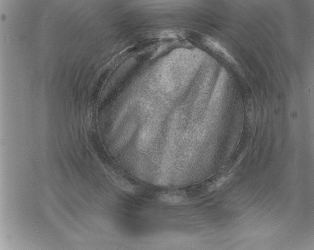 X0000069830359200606021342