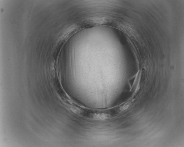 X0000069830360200606021342