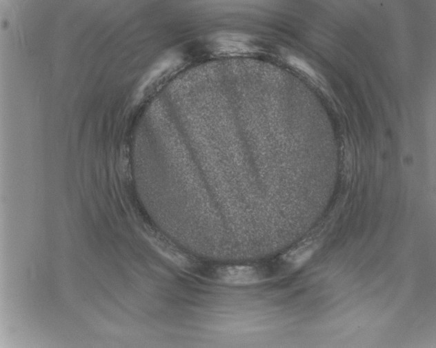 X0000069830361200606021342