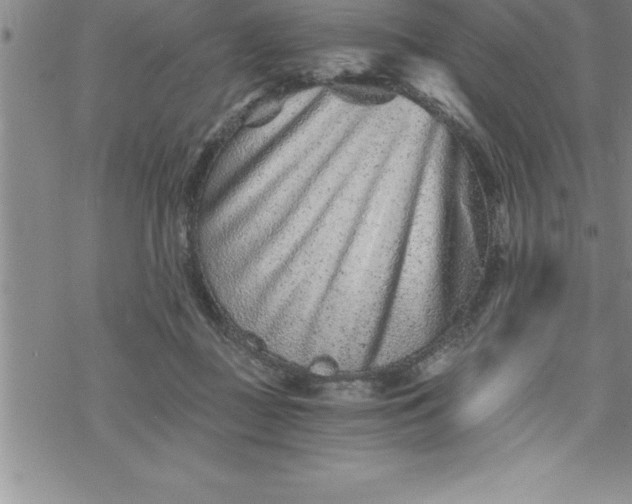 X0000069830363200606021342