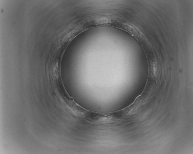 X0000069830364200606021342