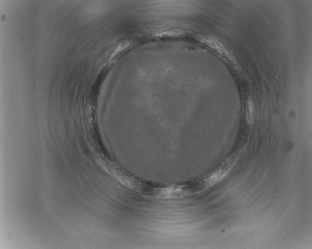 X0000069830366200606021342