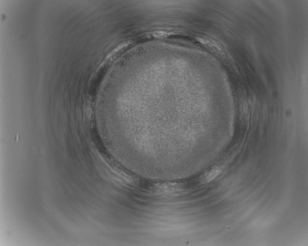 X0000069830367200606021342