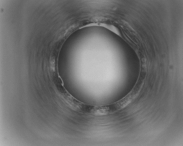 X0000069830368200606021342