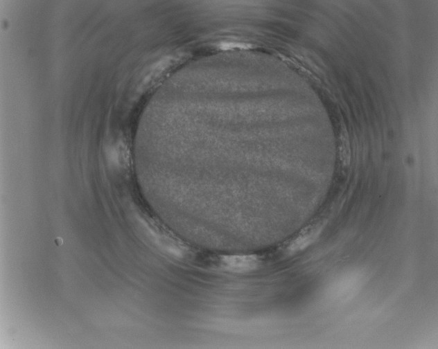 X0000069830371200606021342