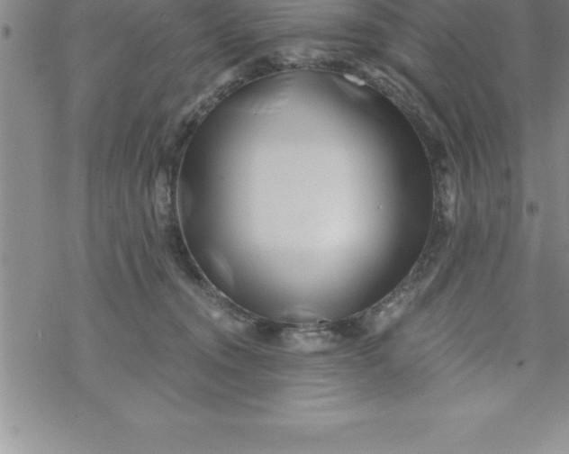 X0000069830372200606021342