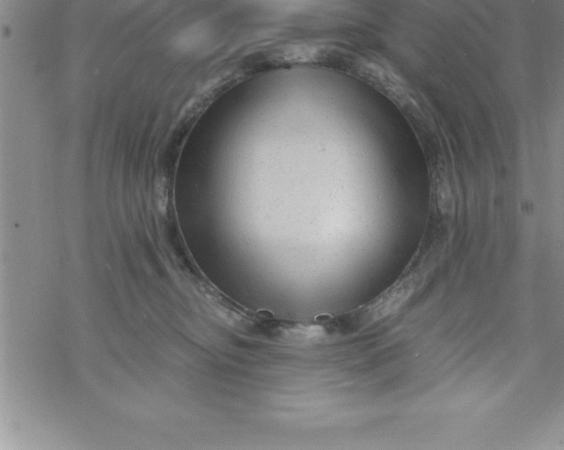 X0000069830374200606021342