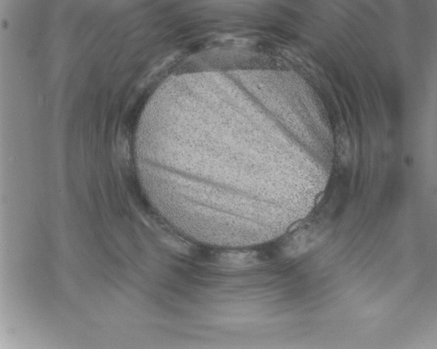 X0000069830375200606021342