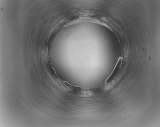 X0000069830376200606021342