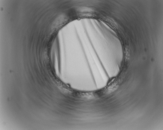 X0000069830377200606021342