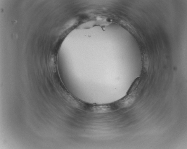 X0000069830378200606021342