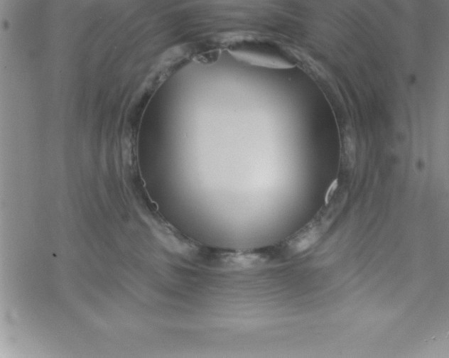 X0000069830379200606021342