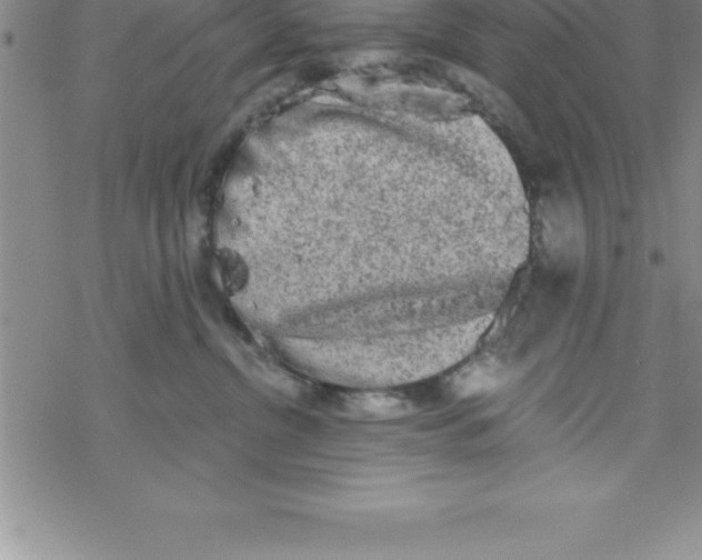 X0000069830380200606021342