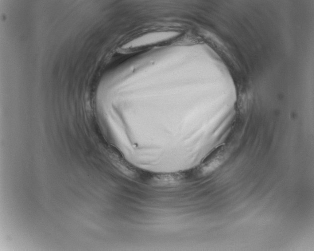 X0000069830381200606021342