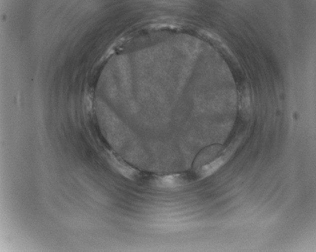 X0000069830382200606021342