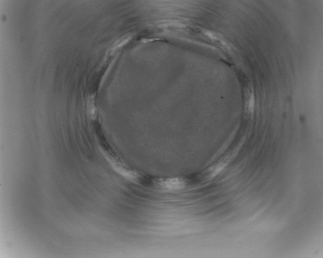 X0000069830383200606021342