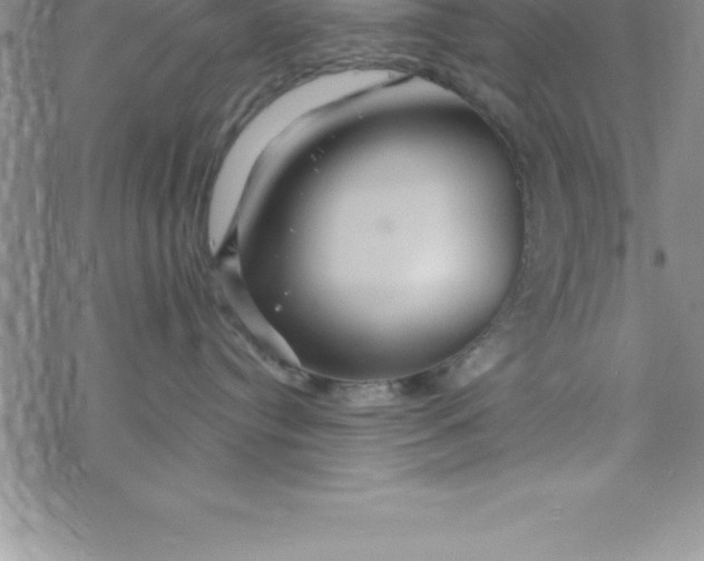 X0000069830384200606021342