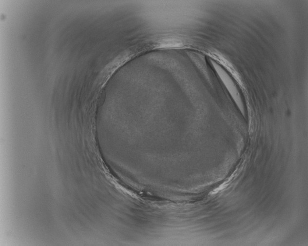 X0000069830385200606021342