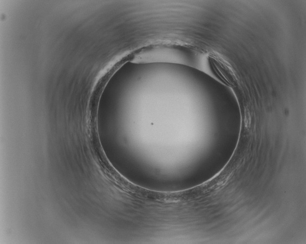 X0000069830388200606021342