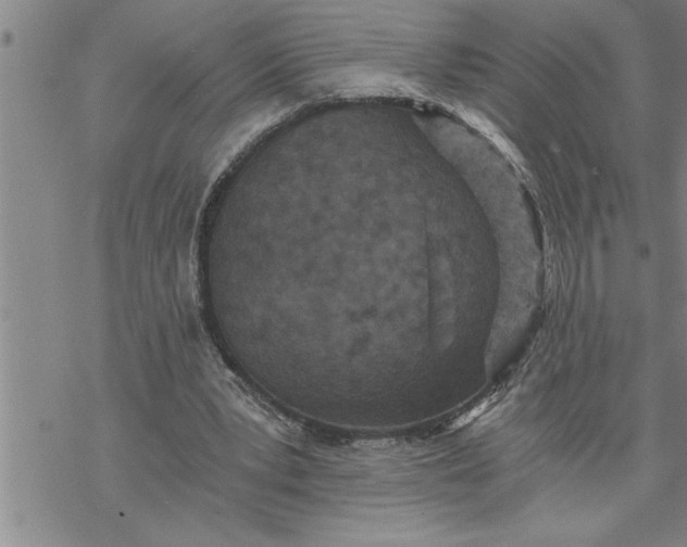 X0000069830391200606021342