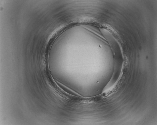 X0000069830392200606021342