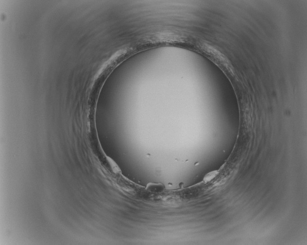 X0000069830395200606021342