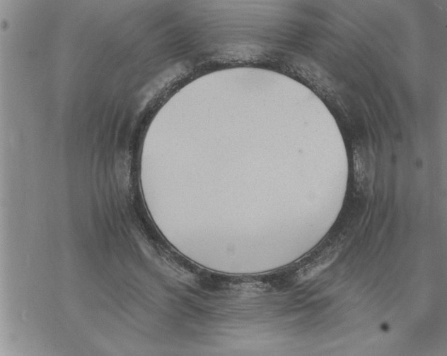 X0000069830396200606021341