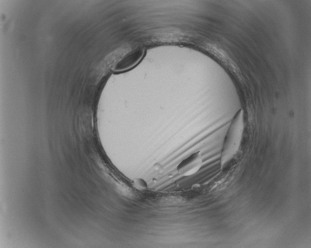 X0000069830397200606021341