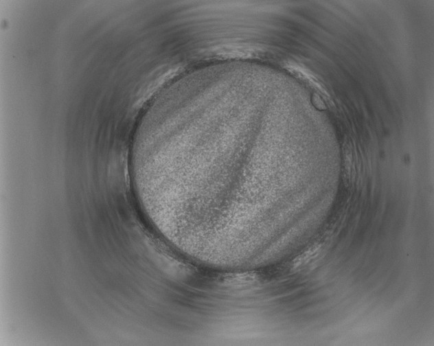 X0000069830398200606021341