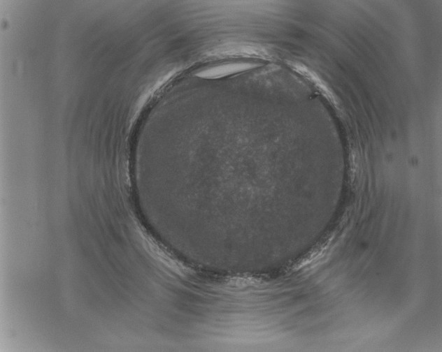 X0000069830399200606021341