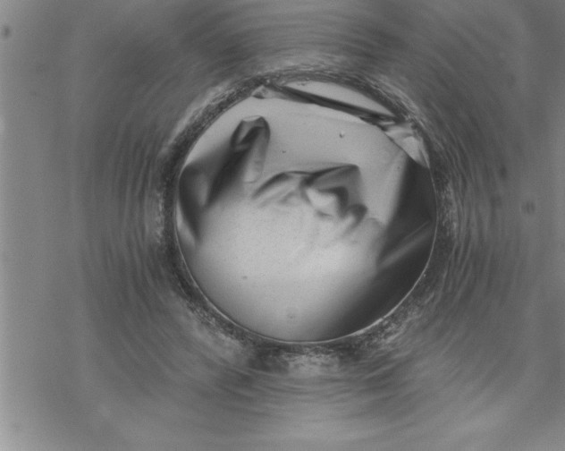 X0000069830400200606021341