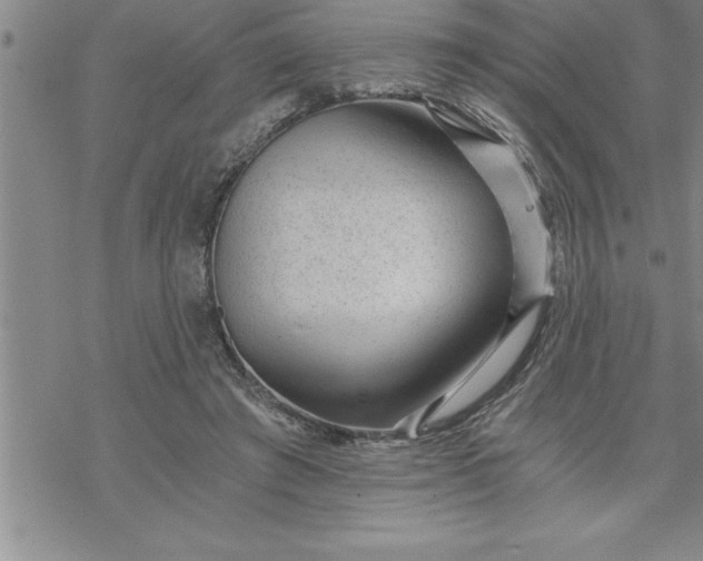 X0000069830401200606021341