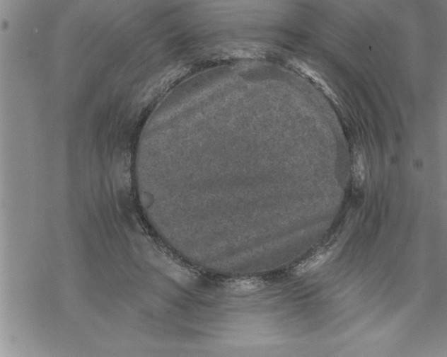 X0000069830402200606021341