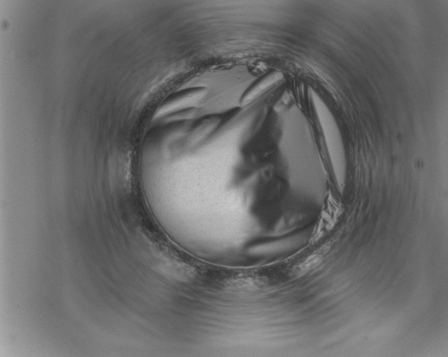 X0000069830404200606021341