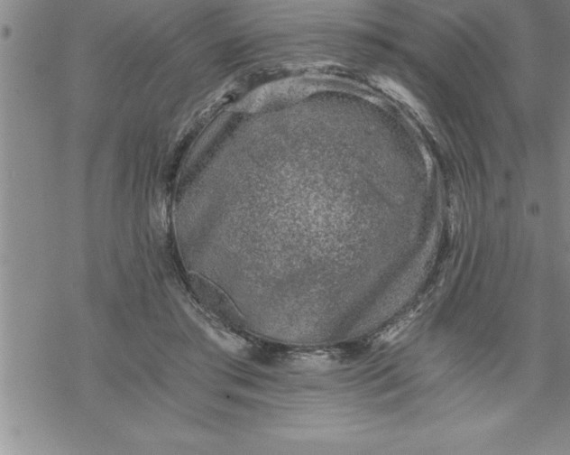 X0000069830405200606021341