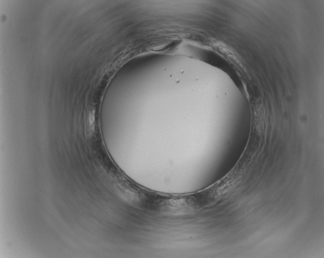 X0000069830406200606021341