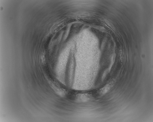 X0000069830408200606021341