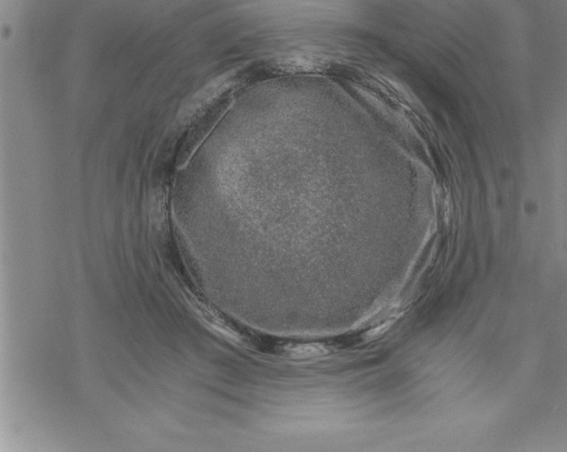 X0000069830409200606021341