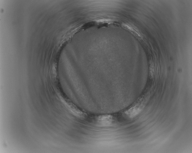 X0000069830410200606021341