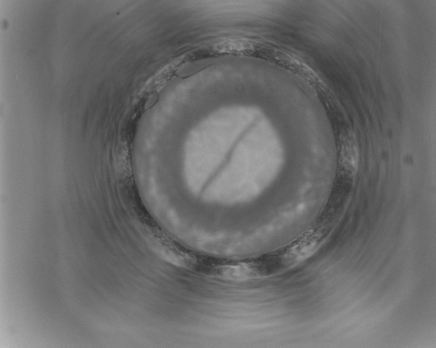 X0000069830411200606021341