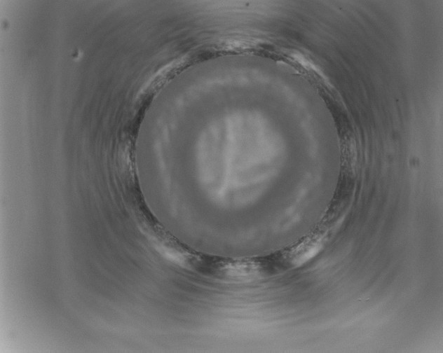 X0000069830415200606021341