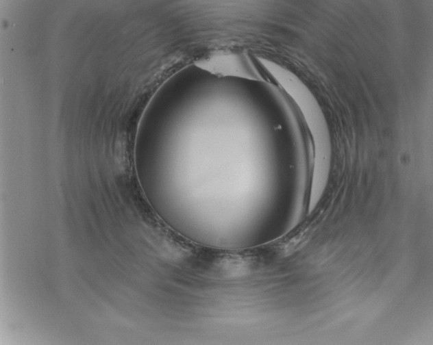 X0000069830416200606021341