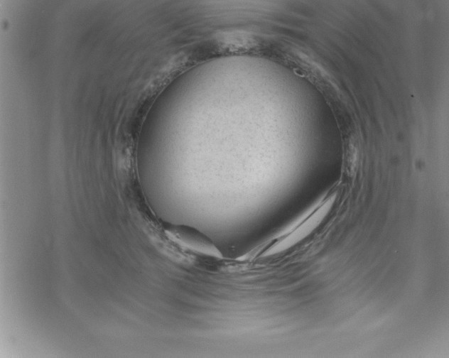 X0000069830417200606021341