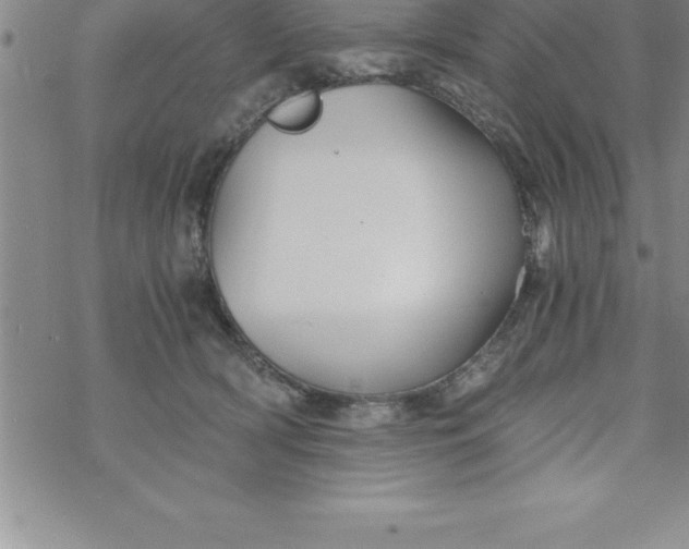 X0000069830418200606021341