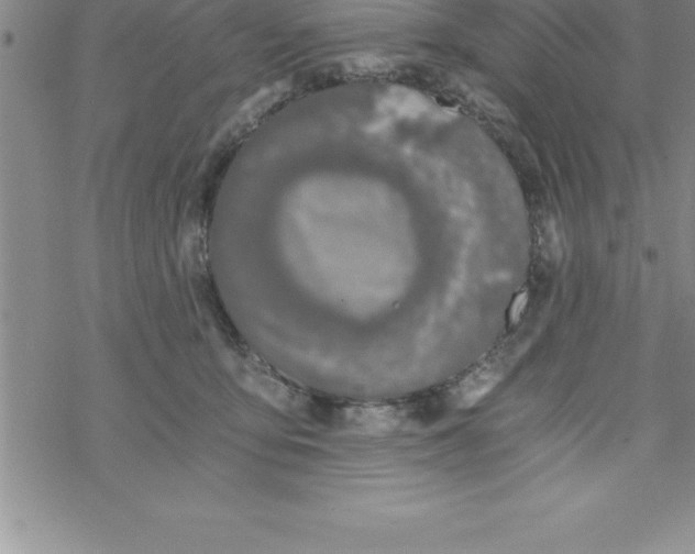 X0000069830419200606021341