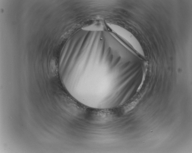 X0000069830420200606021341