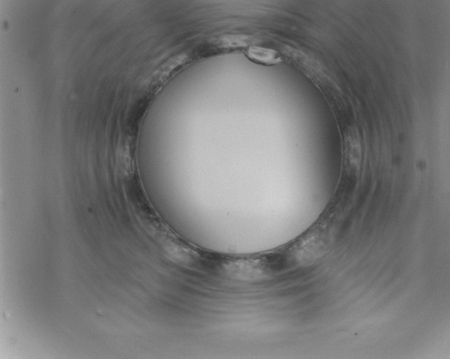 X0000069830422200606021341