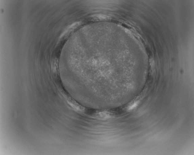 X0000069830423200606021341