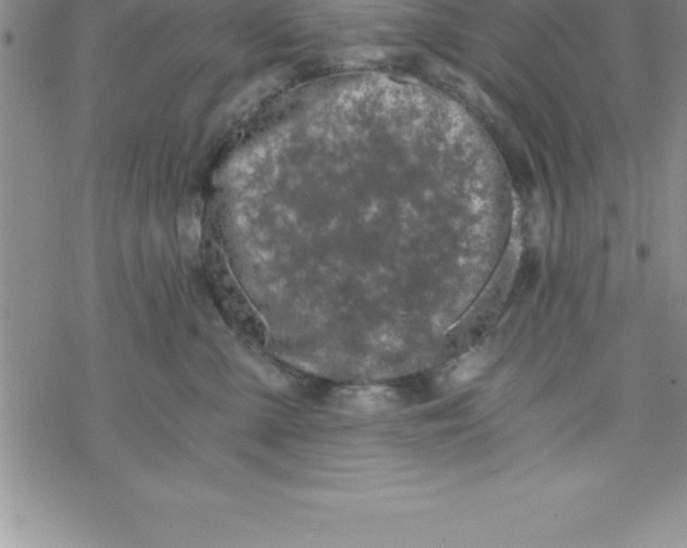 X0000069830427200606021341